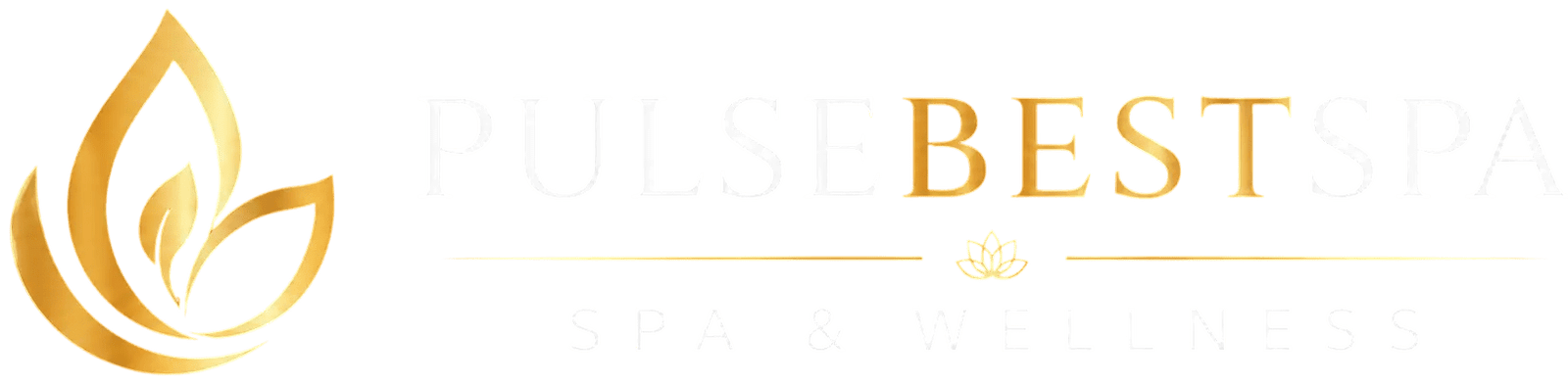 Pulse Best Spa Logo landing page